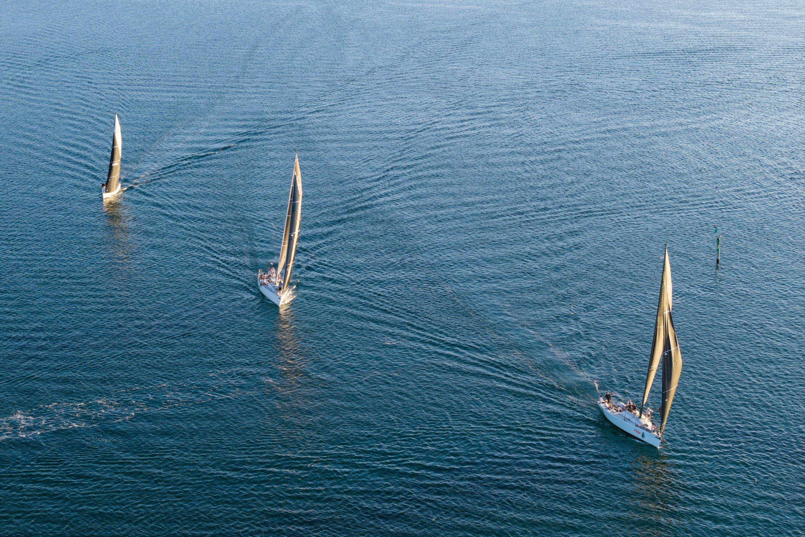 Sail Peninsula 2026 Day 1_186