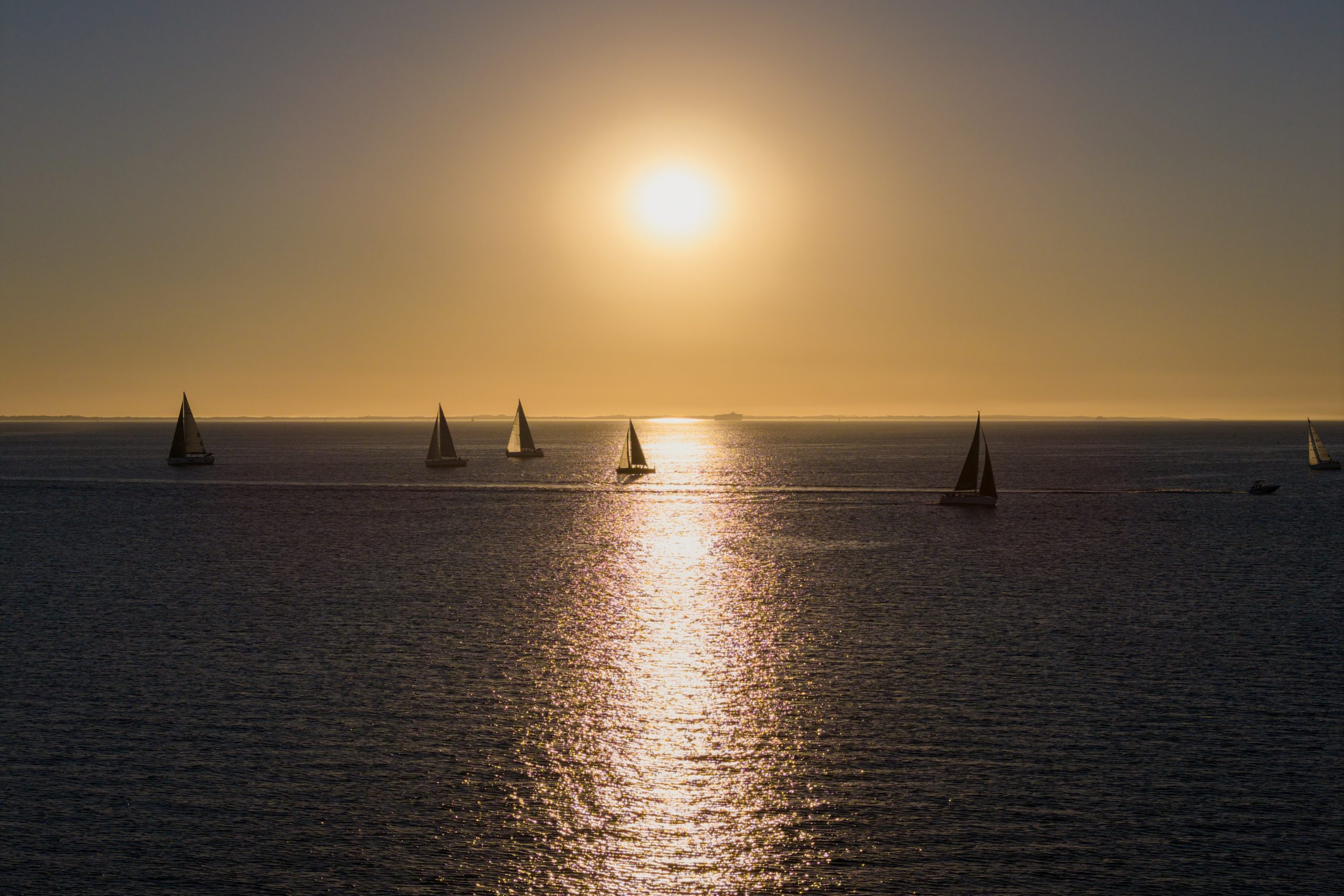 Sail Peninsula 2026 Day 1_188