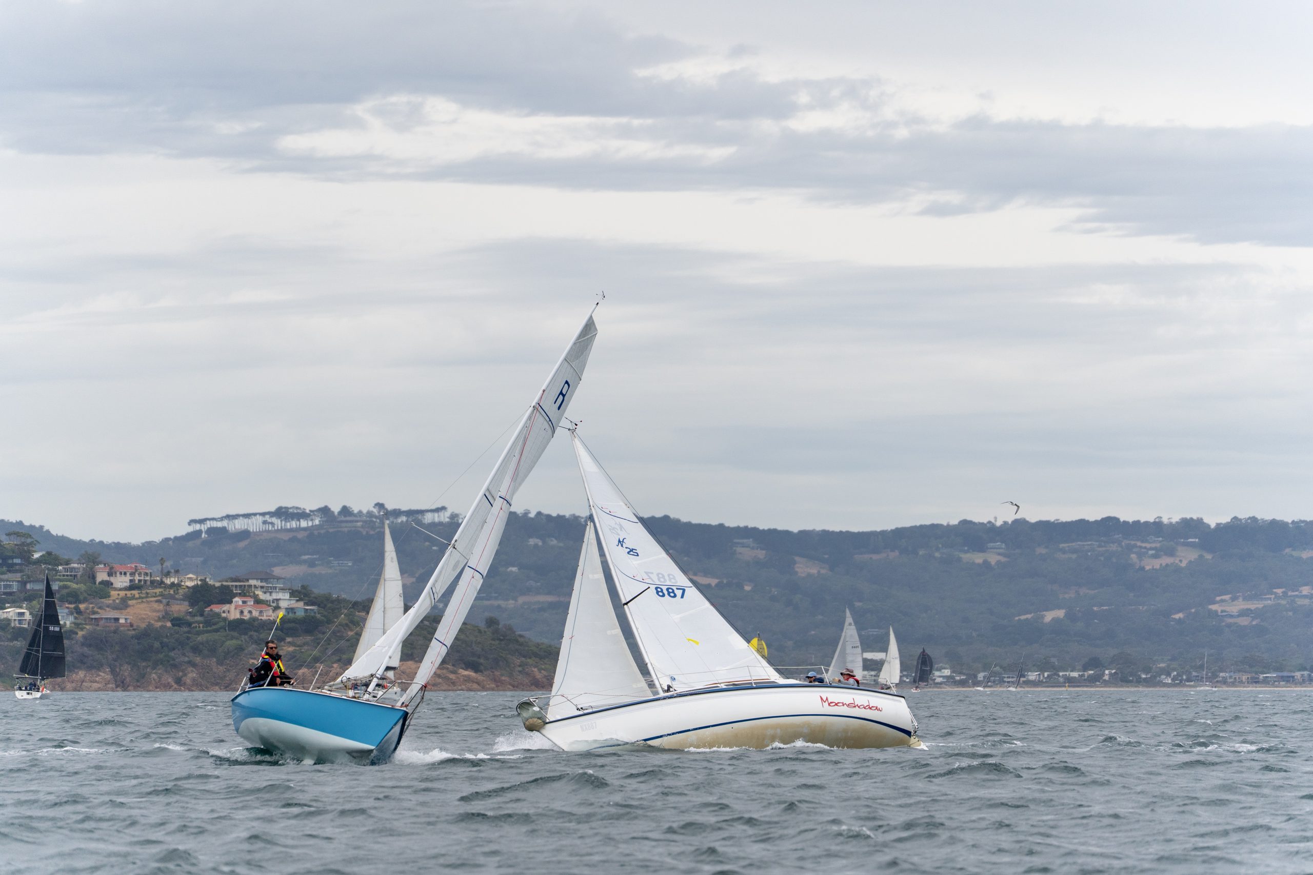 Sail Peninsula 2026 Day 3_109