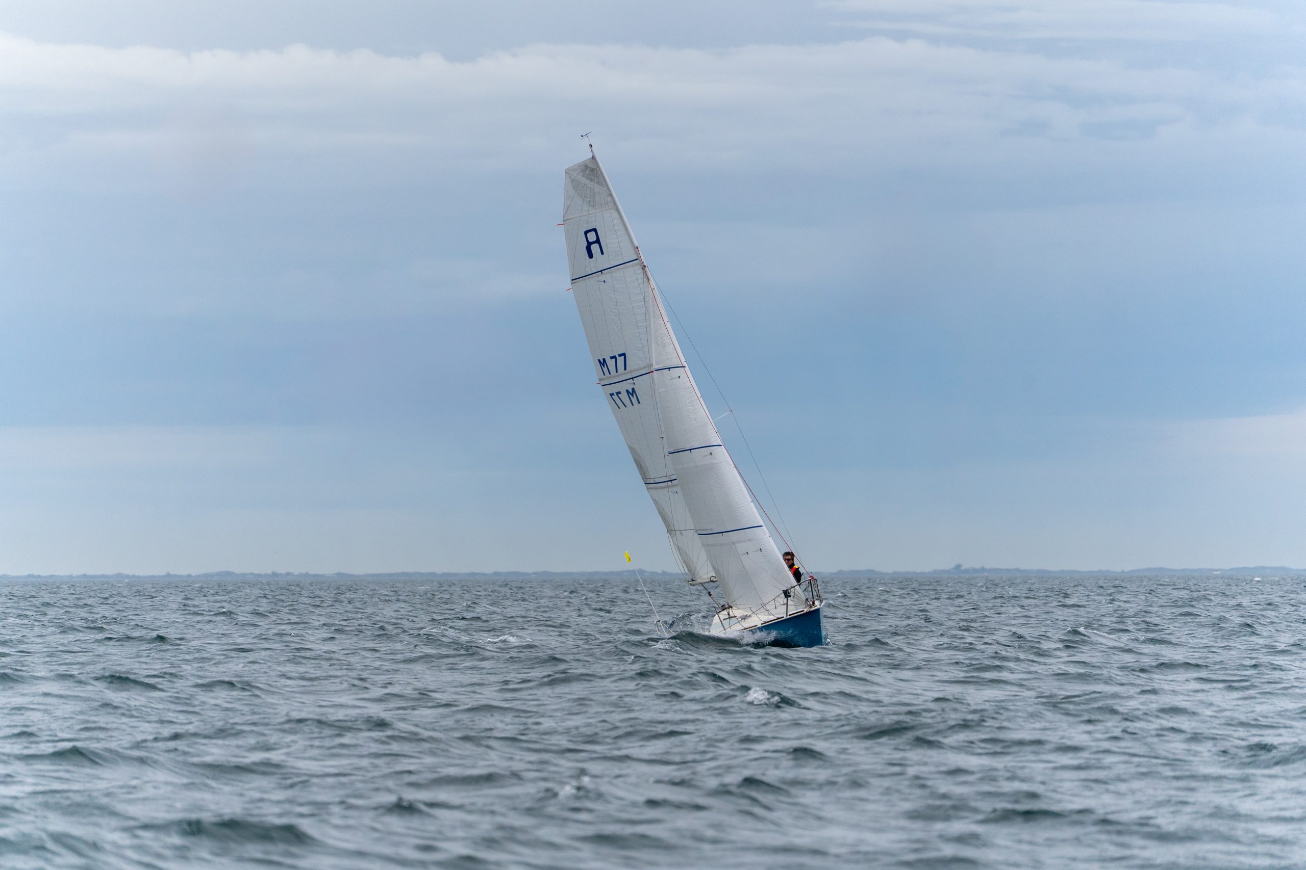 Sail Peninsula 2026 Day 3_110